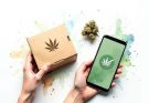 A Professional Guide to Buying Cannabis Online Safely and Responsibly